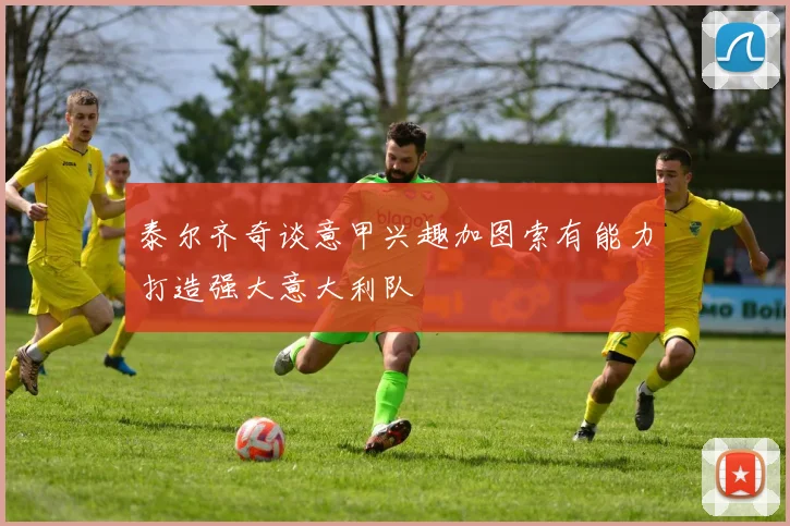 泰尔齐奇谈意甲兴趣加图索有能力打造强大意大利队
