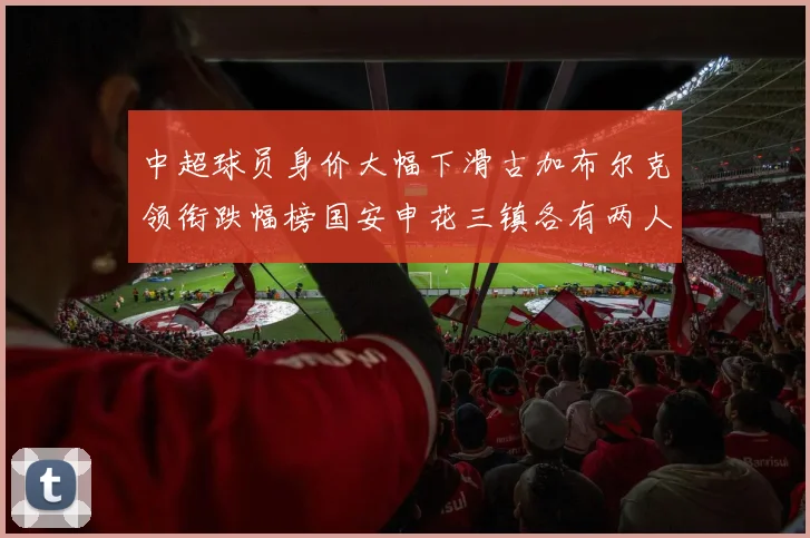 中超球员身价大幅下滑古加布尔克领衔跌幅榜国安申花三镇各有两人上榜